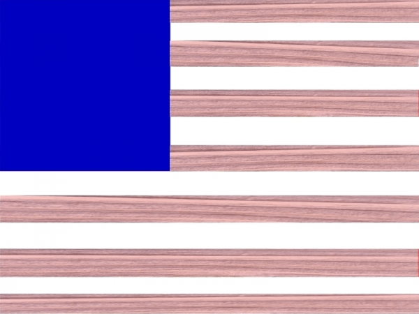 Creation of U.S. Flag: Step 2